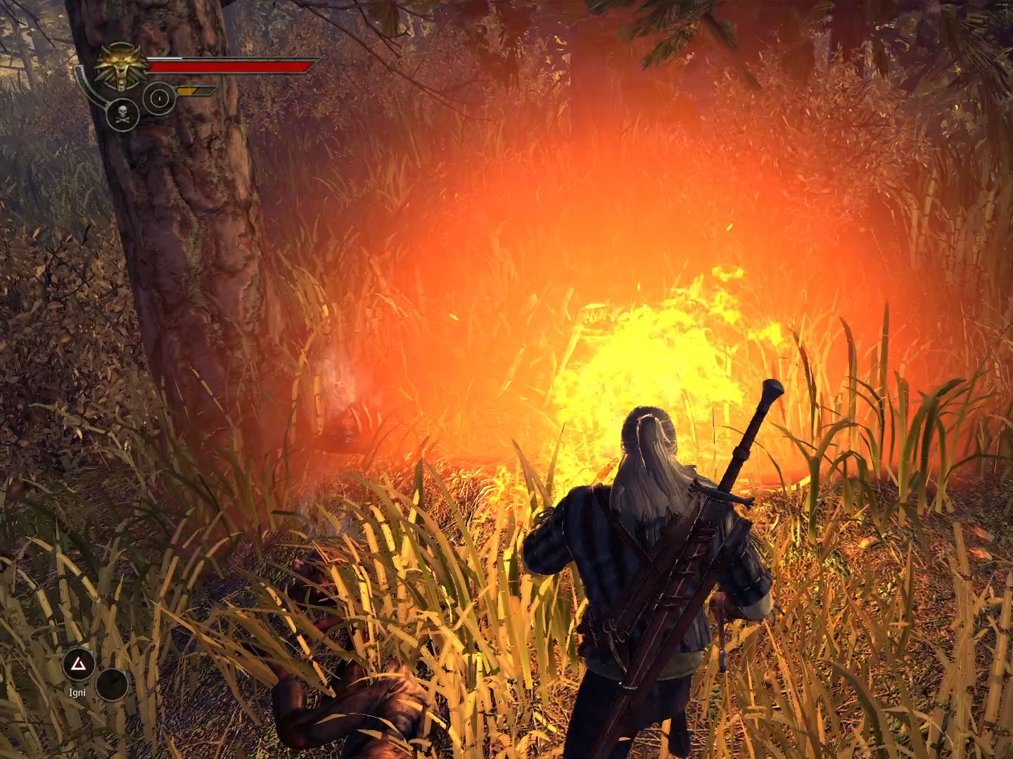 A short story from the Trail mod for The Witcher 2: Assassins of