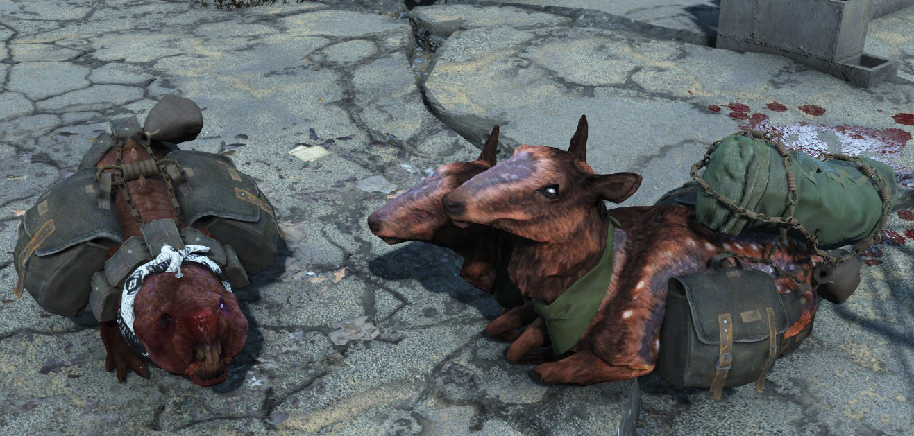 Image 3 - Personal Pack Animals mod for Fallout 4 - Mod DB