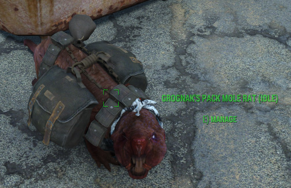 Image 1 - Personal Pack Animals mod for Fallout 4 - Mod DB