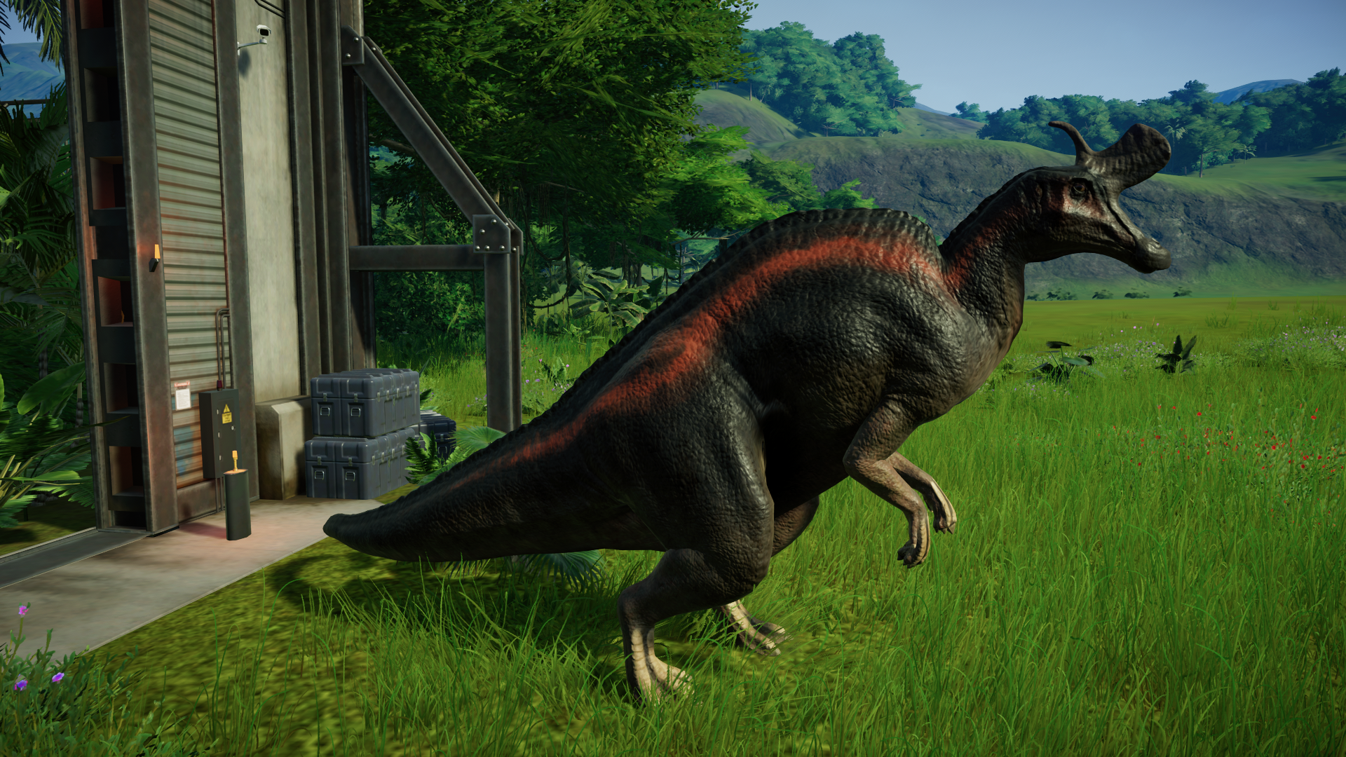 Lambeosaurus Jurassic World Evolution. Ламбеозавр. Ламбеозавр в Jurassic World. Ламбеозавр в Jurassic World Evolution. Jurassic world evolution 2 версии
