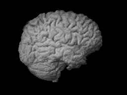 rotating brain 1 image - TURNIP mod for Doom - Mod DB