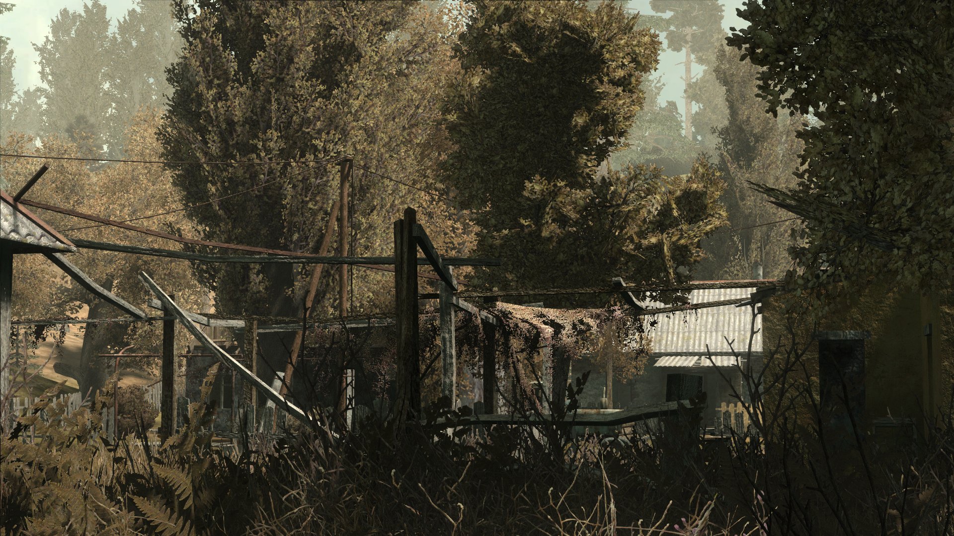 Stalker call of pripyat steam id фото 99