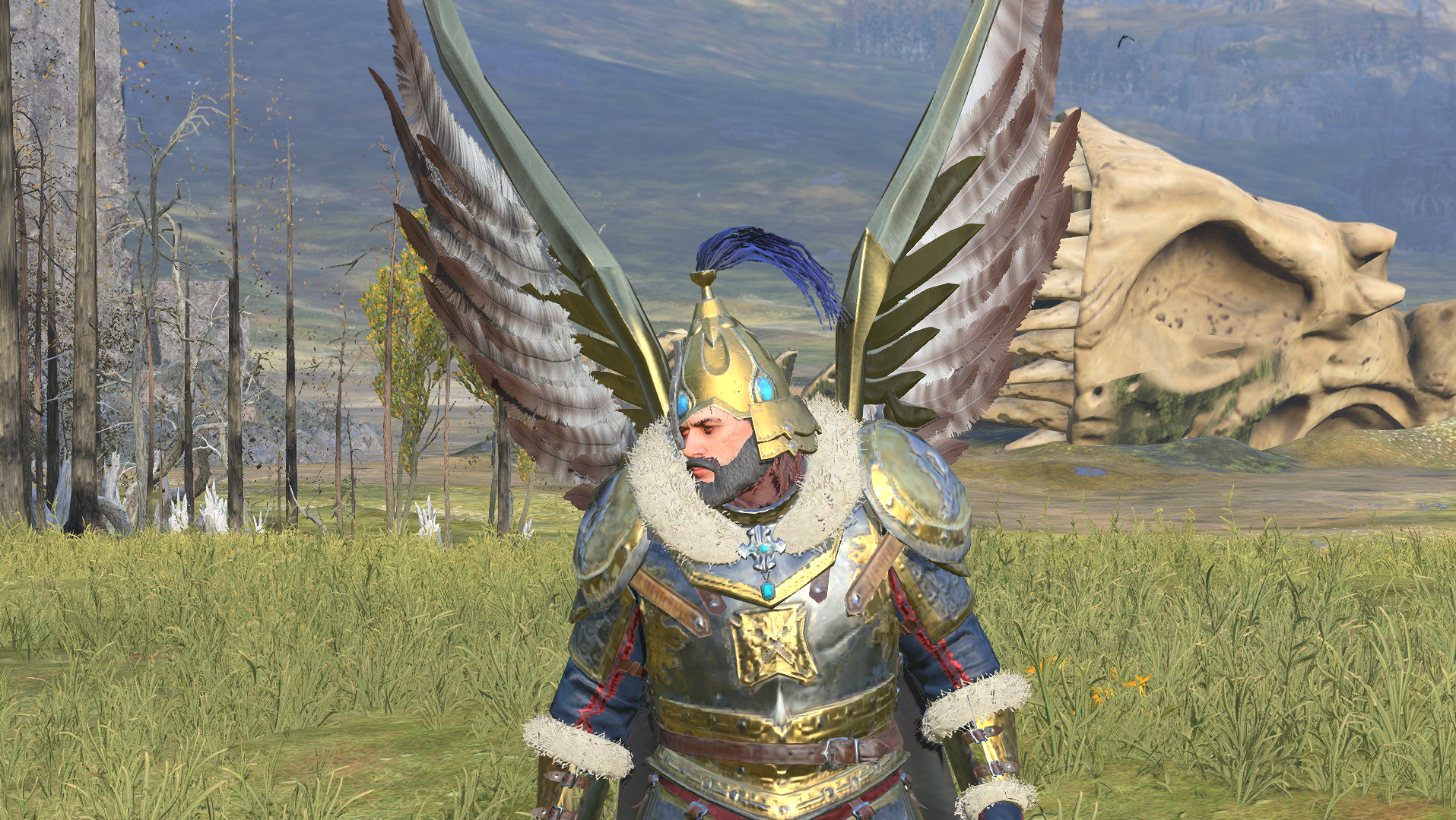 Imp