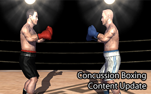 Concussion Boxing