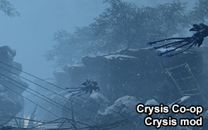 Crysis Co-op